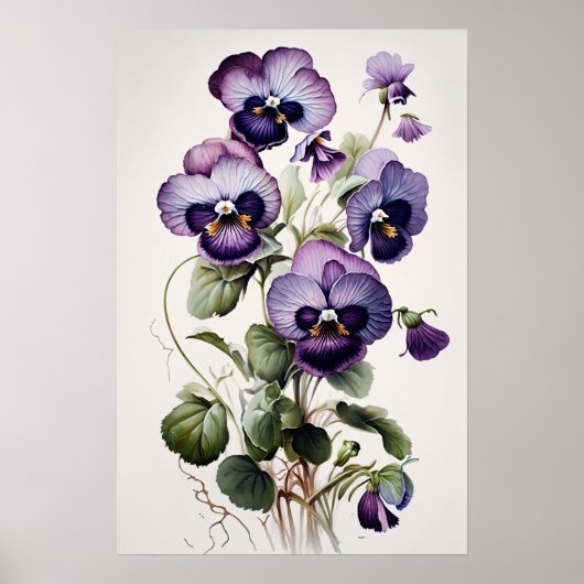 Violas violet Fleur Art Imprimer Poster (Devant)