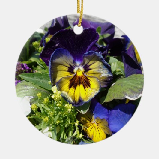 VIOLEN! KERAMISCH ORNAMENT (Voorkant)