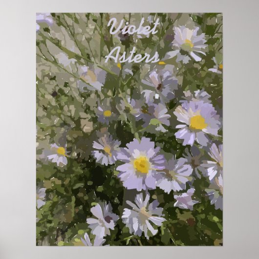Violet Asters Poster (Voorkant)