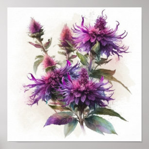 Violet Bee Balm Flower Art Imprimer Poster