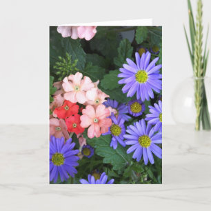Violet, blauw, roze en koraal Blooms Wenskaart Kaart