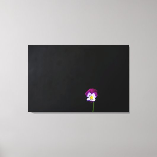 Violet Bloem 36x24 (90x60cm) waccna Canvas Afdruk (Voorkant)
