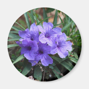 Violet bloemen magneet