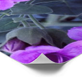 Violet bloemen poster (Hoek)