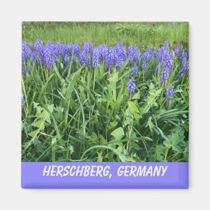 Violet Bluebell Magneet