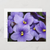 Violet Boquet Kaart (Voorkant / Achterkant)