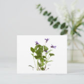 Violet Briefkaart (Staand voorkant)