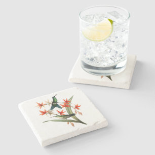 Violet Capped Wood Nymph Hummingbird Stenen Onderzetter