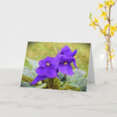 Violet, carte (Fleur jaune)