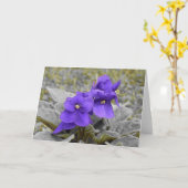 Violet, carte (Fleur jaune)