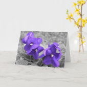 Violet, carte (Fleur jaune)