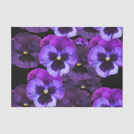 VIOLET DREAMS TISSUEPAPIER (Voorkant)