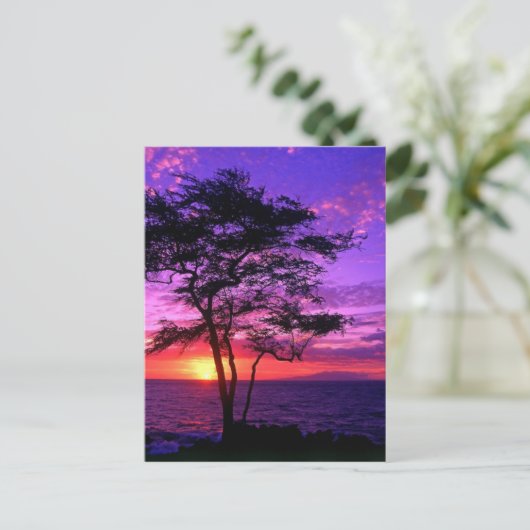 Violet en roze zonneboom briefkaart (Staand voorkant)