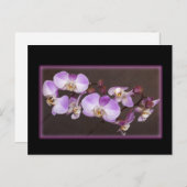 Violet en witte orchidee close-up foto briefkaart (Voorkant / Achterkant)