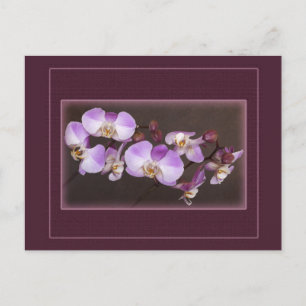 Violet en witte orchidee close-up foto briefkaart