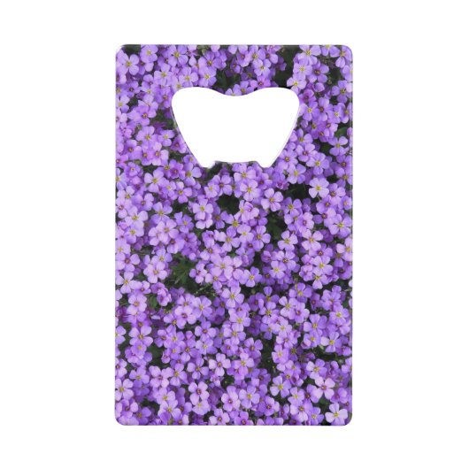 Violet Fleurs Bouteille Ouverture Violets (Devant)