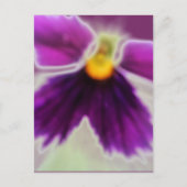 Violet Flower, Paars White Briefkaart (Voorkant)