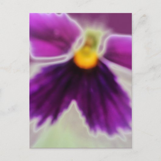 Violet Flower, Paars White Briefkaart (Voorkant)