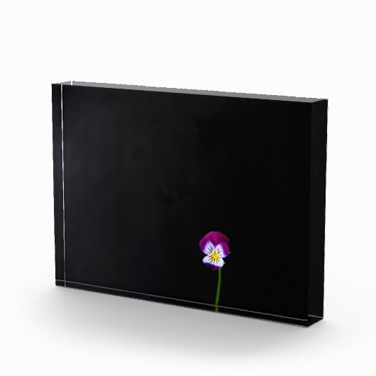 Violet Flower pbcn Fotoblokken (Rechts)