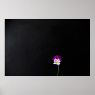 Violet Flower Warm Poster