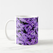 Violet Flowers Mok Violet Spring (Links)