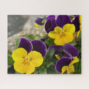 Violet gele pansies legpuzzel