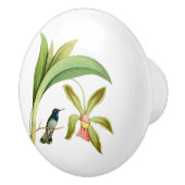 Violet Headed Hummingbird  Illustratie Keramische Knop (Rechts)