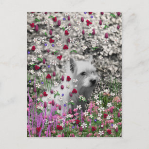 Violet in Flowers - White Westie Dog Briefkaart