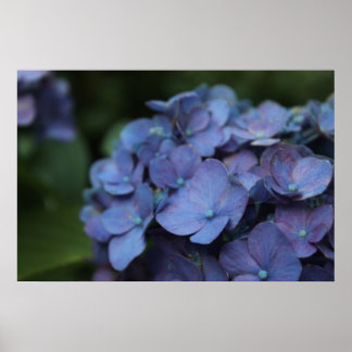 Violet in Poster Twilight