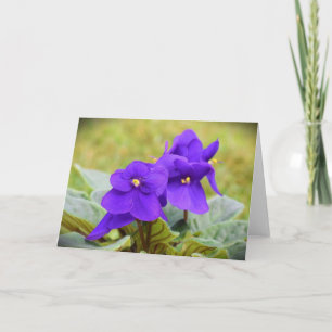Violet, kaart