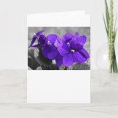 Violet, kaart (Voorkant)