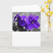 Violet, kaart (Gele Bloem)