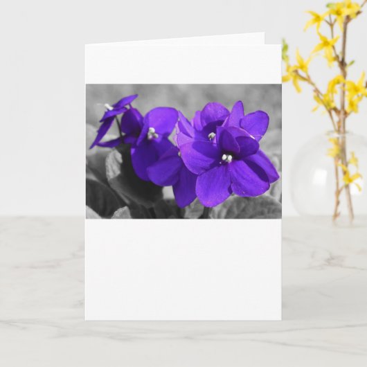 Violet, kaart (Gele Bloem)