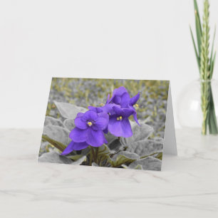 Violet, kaart