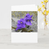 Violet, kaart (Gele Bloem)