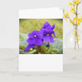 Violet, kaart (Gele Bloem)