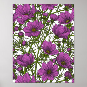 Violet kosmos bloemen poster