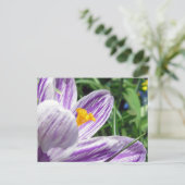 Violet lentescrocus briefkaart (Staand voorkant)