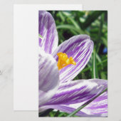 Violet lentescrocus briefpapier (Voorkant / Achterkant)