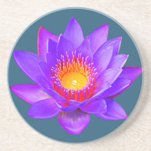 Violet Lotus Flower op Blue Onderzetter