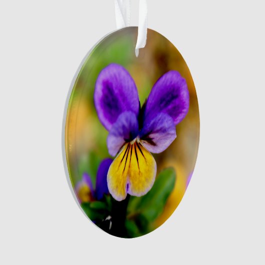 Violet Ornament (voorkant)