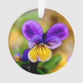 Violet Ornament (voorkant)