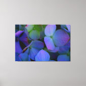 Violet paars roze blauw Hydrangeenbloemen Canvas Afdruk (Voorkant)