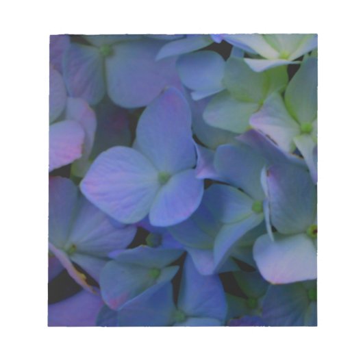 Violet paars roze blauwe hydrangeenbloem notitieblok (Voorkant)