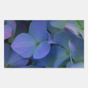 Violet paars roze blauwe hydrangeenbloem rechthoekige sticker