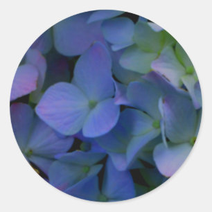 Violet paars roze blauwe hydrangeenbloem ronde sticker
