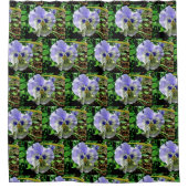 VIOLET PANSY DOUCHEGORDIJN (Voorkant)