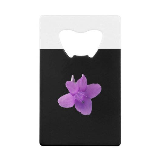 Violet philippin sur noir (Devant)