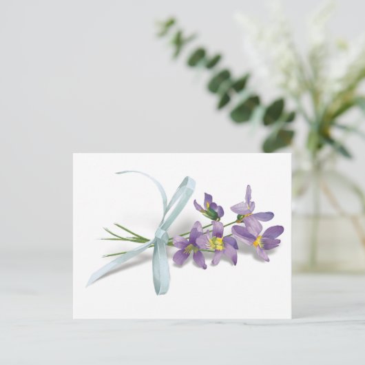 Violet Post Card Briefkaart (Staand voorkant)