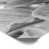 Violet, Poster (Hoek)